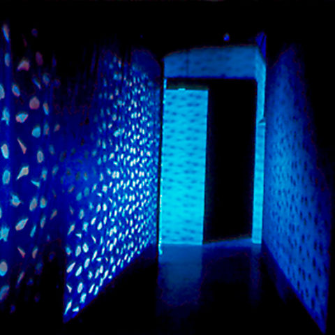 Project Museum of contemporary Art, North Miami, USA, Images télévisées, 2 projecteurs, Bande son, Toile cirée. Dimensions variables Photographies: Tim Mc Caffee
